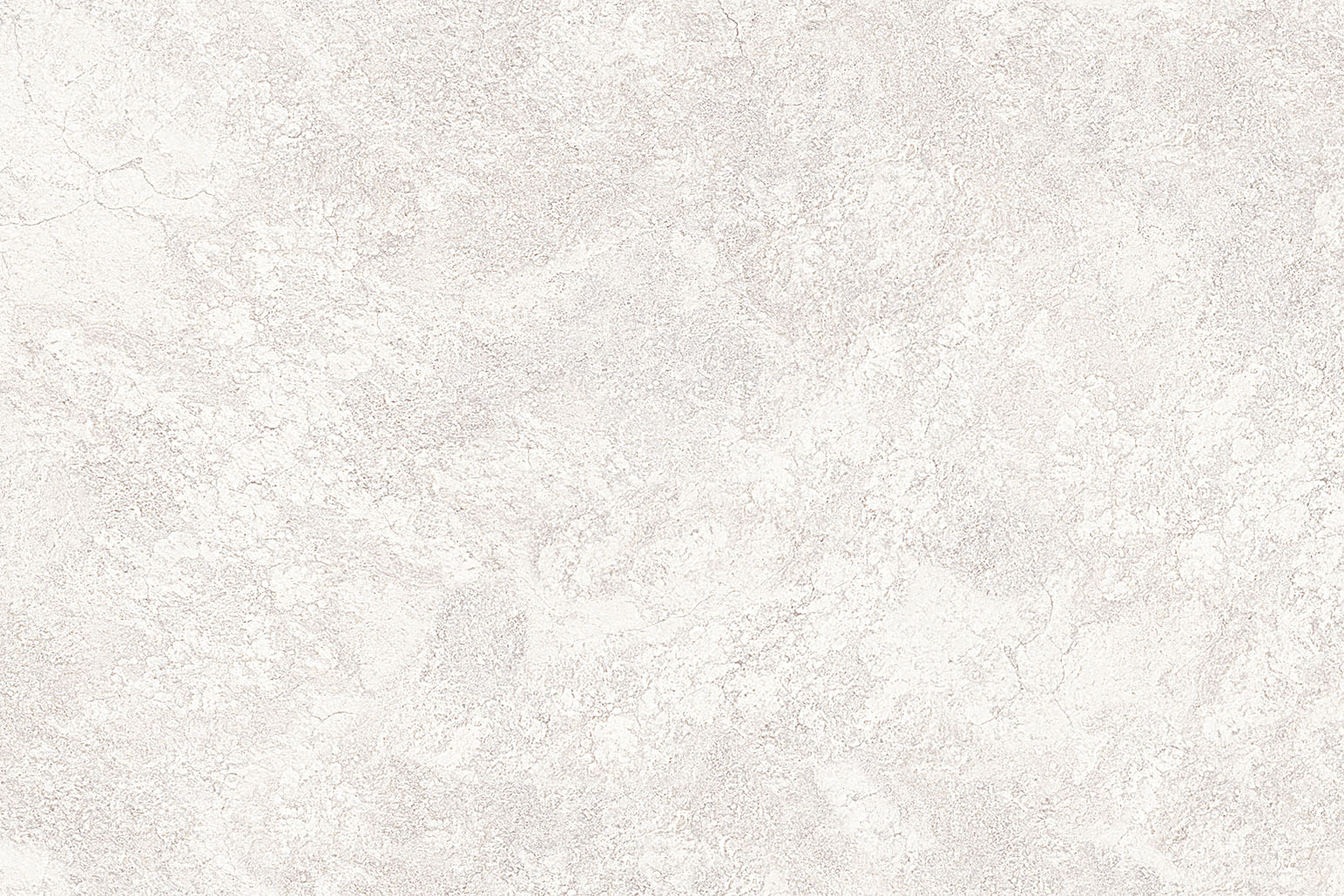 BASIL-LT preview